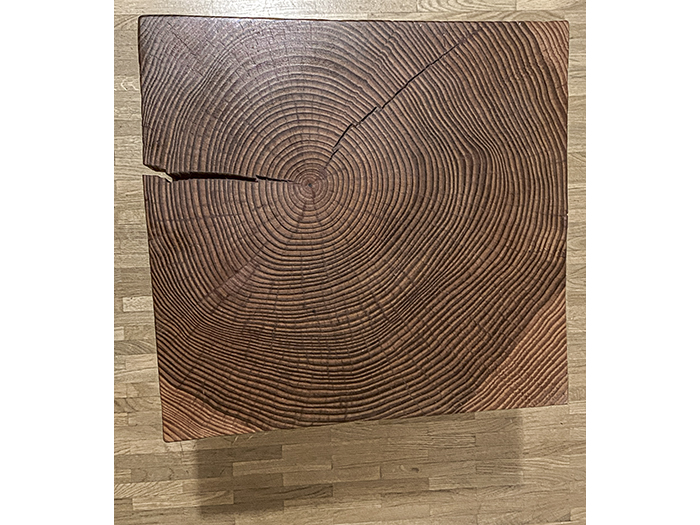 Hocker, Douglasie